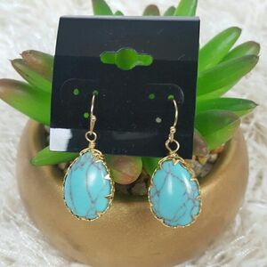 NWT Turquoise Earring  